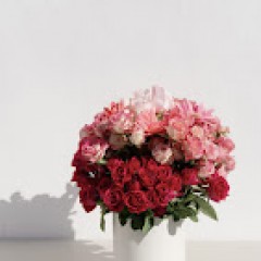 Seller Image